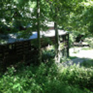 Meet your Posher, Stella